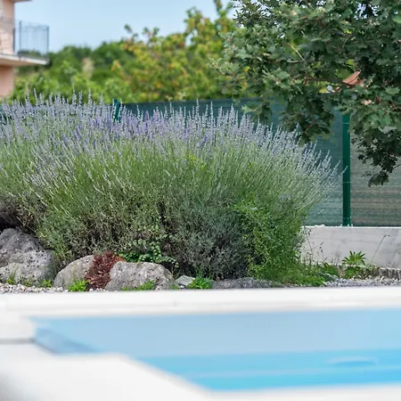 Dalmatina بيت للعطل