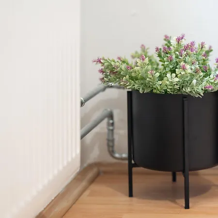 Dalmatina بيت للعطل *